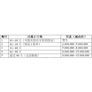 在越南的外國投資者和100%外商投資企業(yè)獲得投資登記證和商業(yè)登記證后需要做什么？