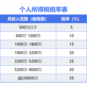 稅務(wù)合規(guī)與優(yōu)化：越南稅收制度對中國企業(yè)的影響